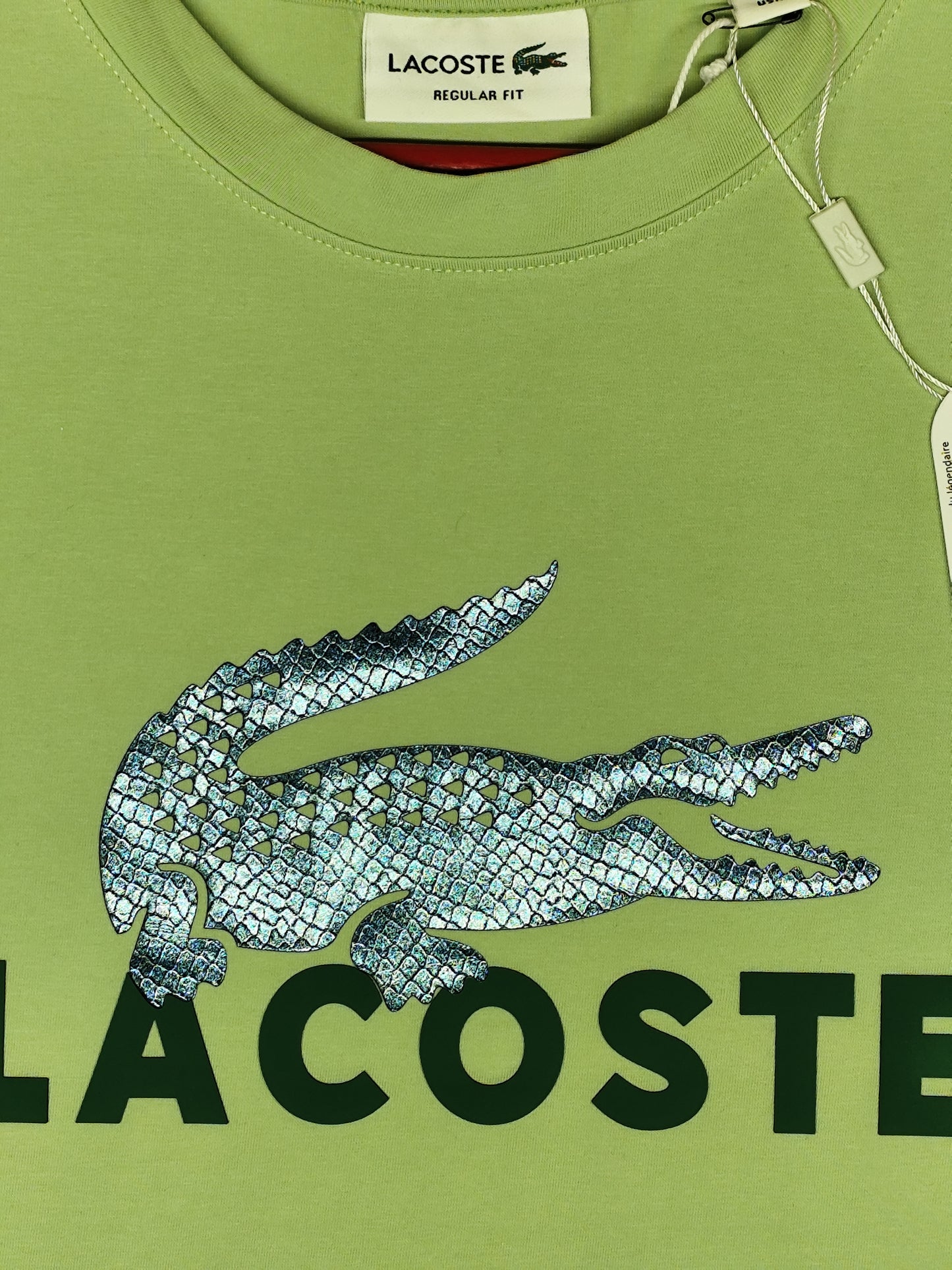 LACOSTE-Round neck-GREEN-Regular Fit